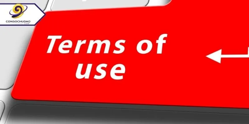 Tổng quan điều khoản sử dụng