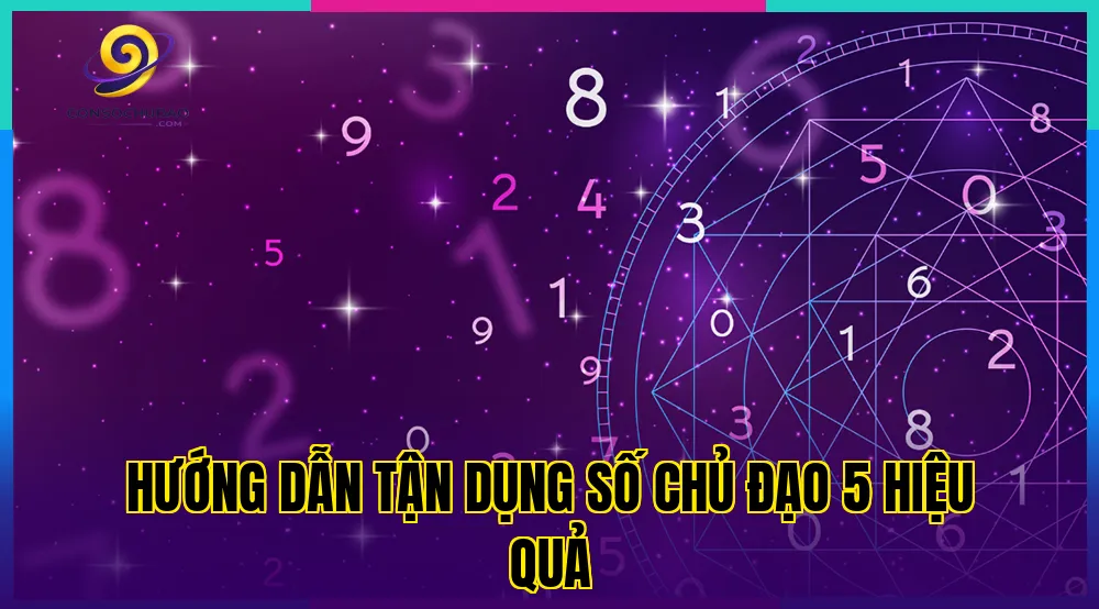 Hướng dẫn tận dụng số chủ đạo 5 hiệu quả