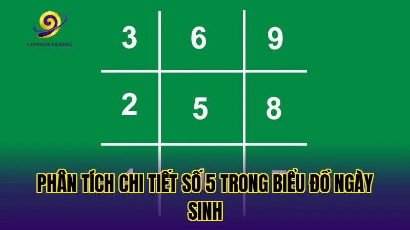 Phân tích chi tiết số 5 trong biểu đồ ngày sinh