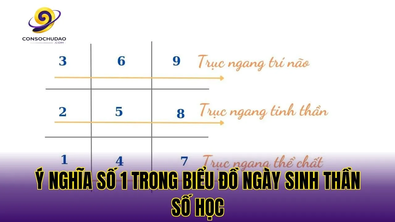Ý nghĩa số 1 trong biểu đồ ngày sinh thần số học