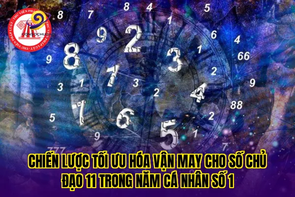 Chiến lược tối ưu hóa vận may cho số chủ đạo 11 trong năm cá nhân số 1