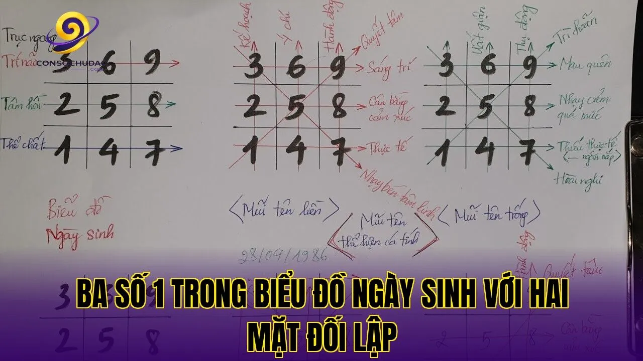 Ba số 1 trong biểu đồ ngày sinh với hai mặt đối lập