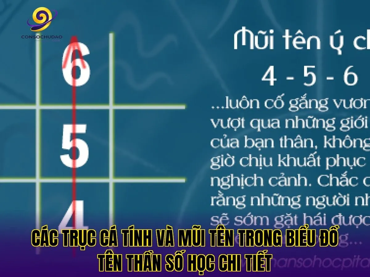 Các trục cá tính và mũi tên trong biểu đồ tên thần số học chi tiết