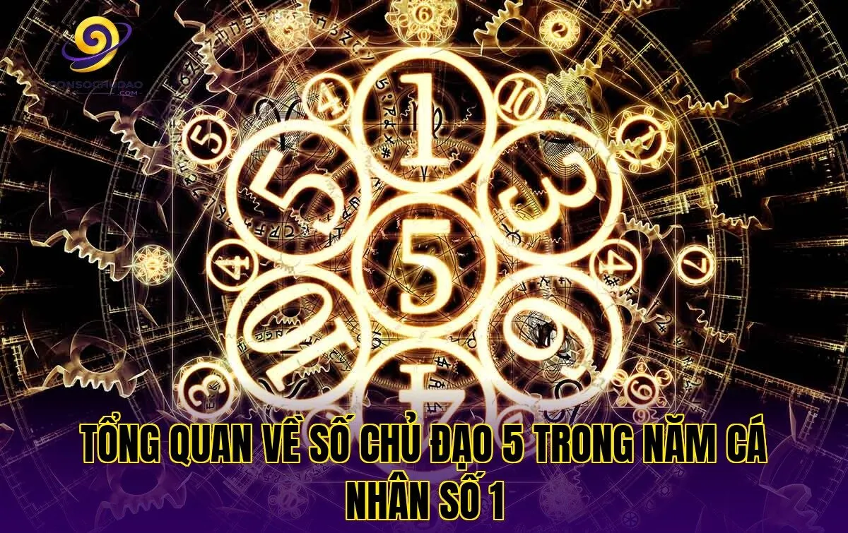Tổng quan về số chủ đạo 5 trong năm cá nhân số 1