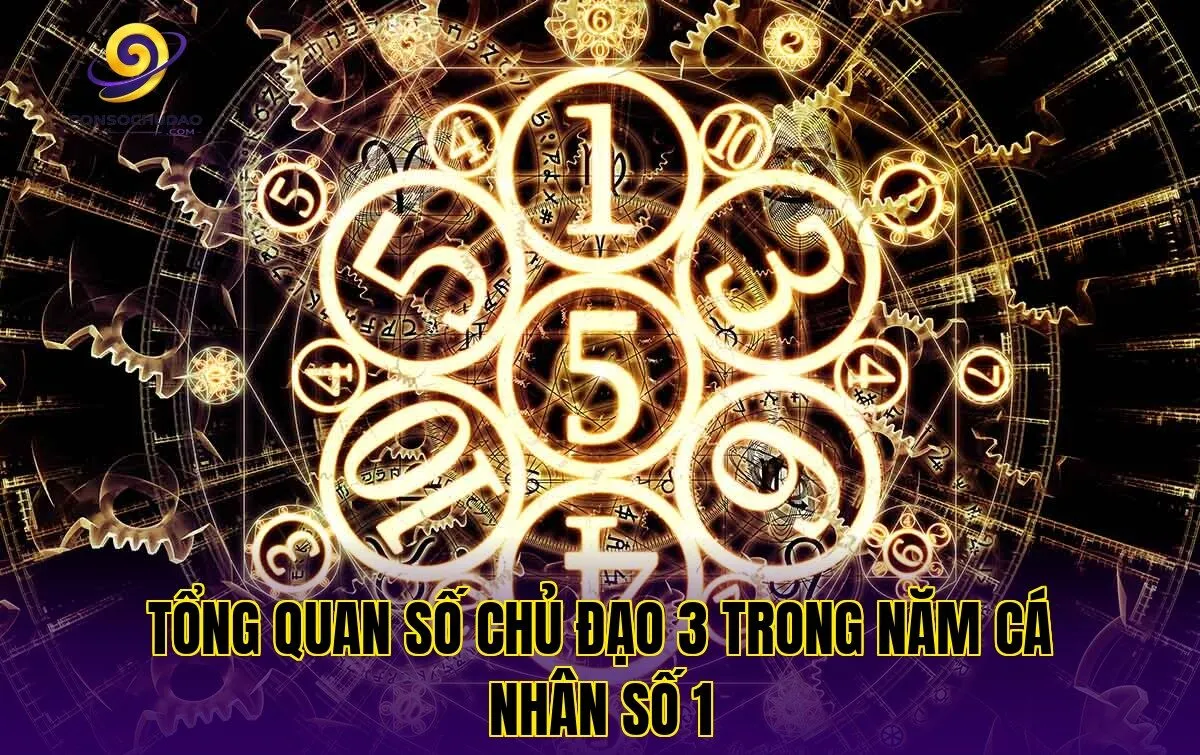 Tổng quan số chủ đạo 3 trong năm cá nhân số 1