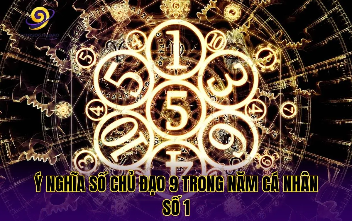 Ý nghĩa số chủ đạo 9 trong năm cá nhân số 1