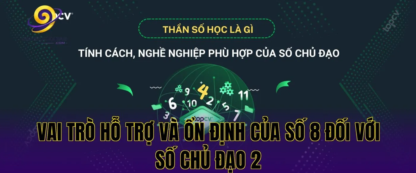 Vai trò hỗ trợ và ổn định của số 8 đối với số chủ đạo 2