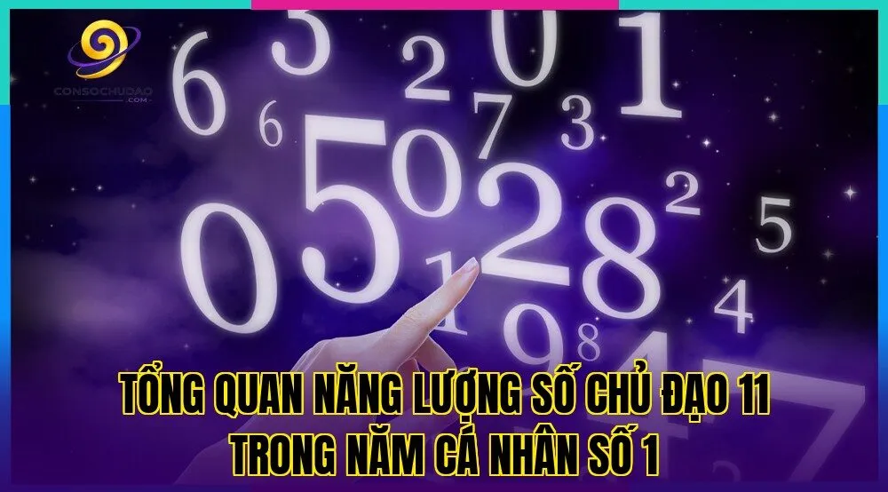 Tổng quan năng lượng số chủ đạo 11 trong năm cá nhân số 1